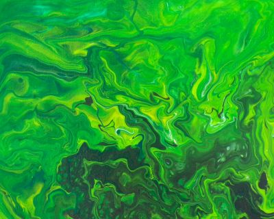 101_0308a.JPG
